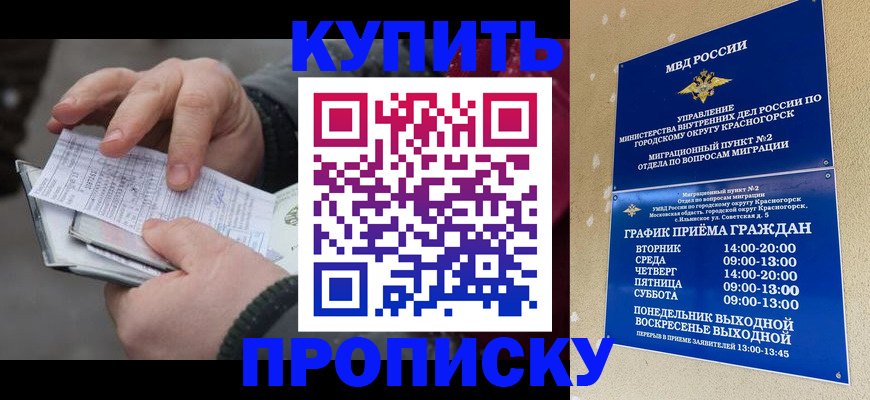 временная регистрация недорого в Купино